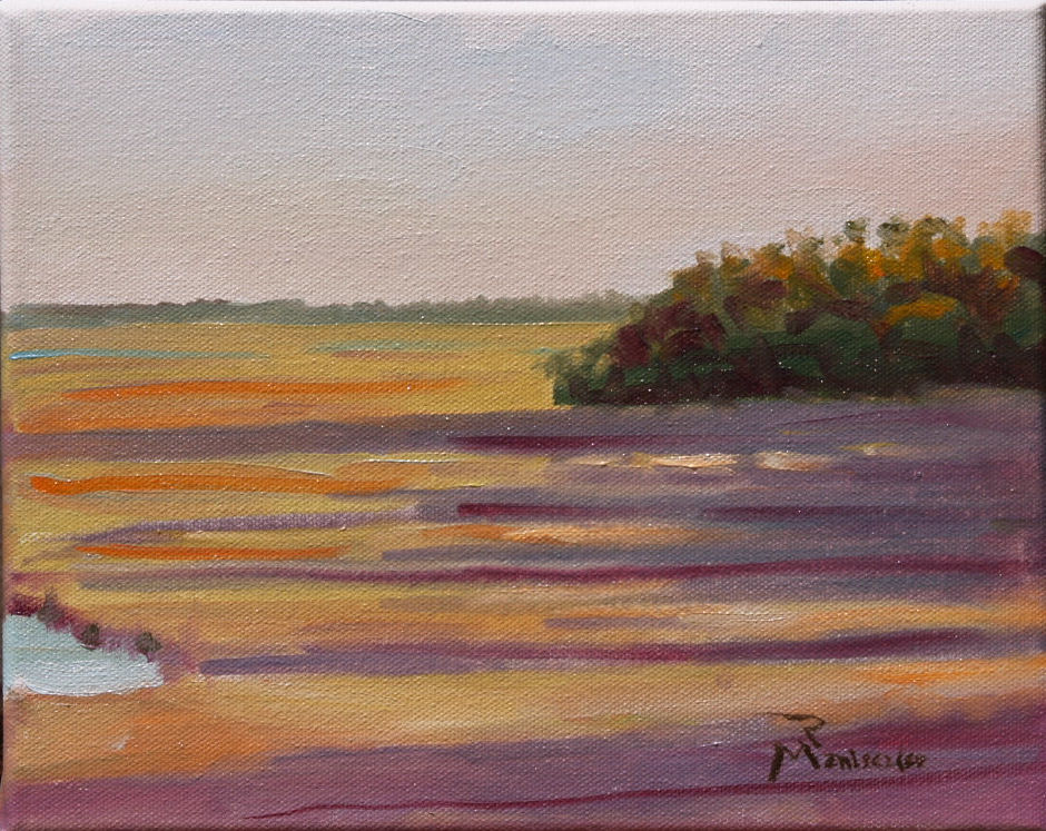 winter marsh