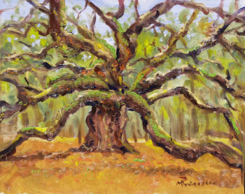 angel oak