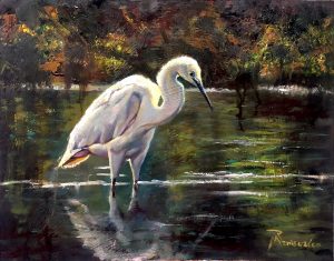 Snowy Egret
