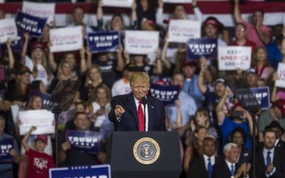 Watching Democracy Fall