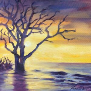 Boneyard Beach