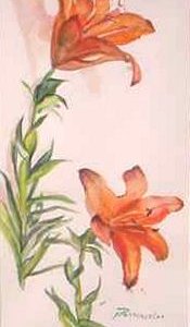 Champion Lillies