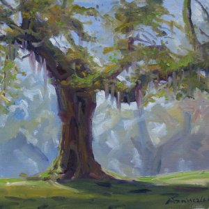 Dawn Oak