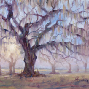 Charleston Oak at Dawn