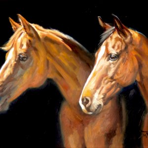 Double Horse Portrait