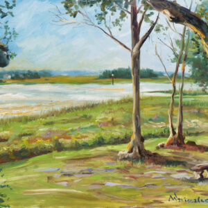 Lowndes Grove Marsh