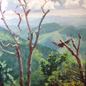 Pisgah Mountain View
