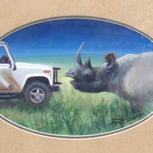 Rhino versus Landrover