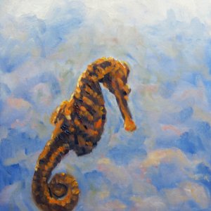 Seahorse