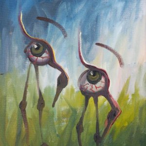 Seeing Eye Cranes