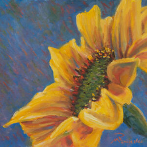 Sunflower Closeup