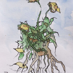 Botanical 1