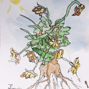 Botanical 3