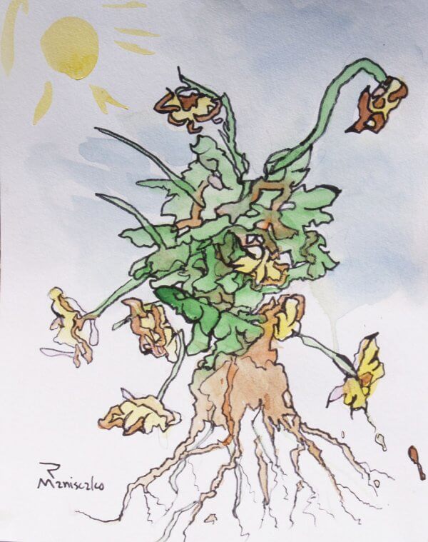 Botanical 3