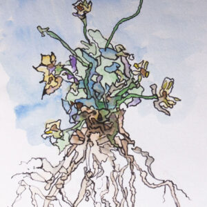Botanical 4