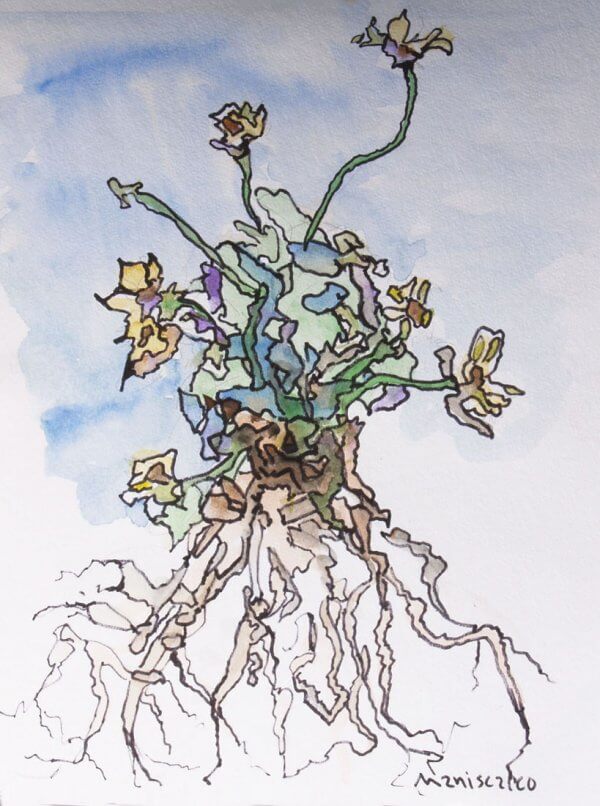 Botanical 4