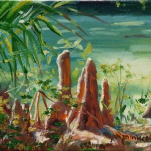 Cypress Knees