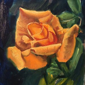 Yellow Rose