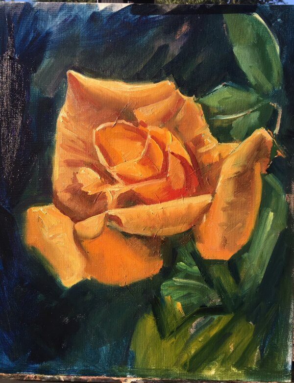 Yellow Rose