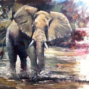 Elephant Charging