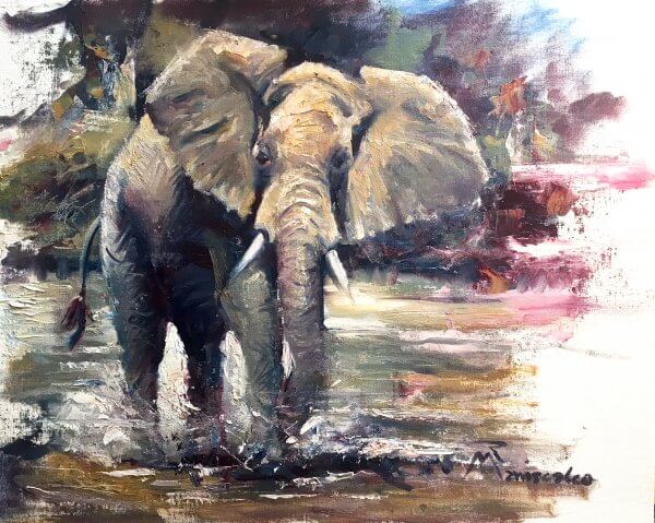 Elephant Charging