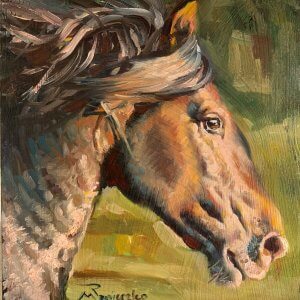 Equestrian Head Study