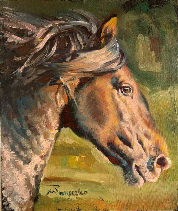 Equestrian Head Study