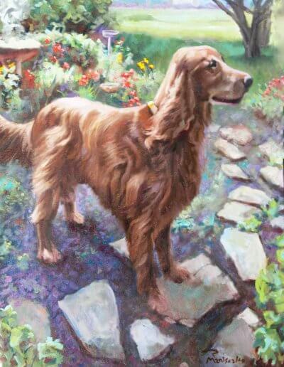 Finn the Irish Setter