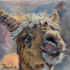 Haughty Llama