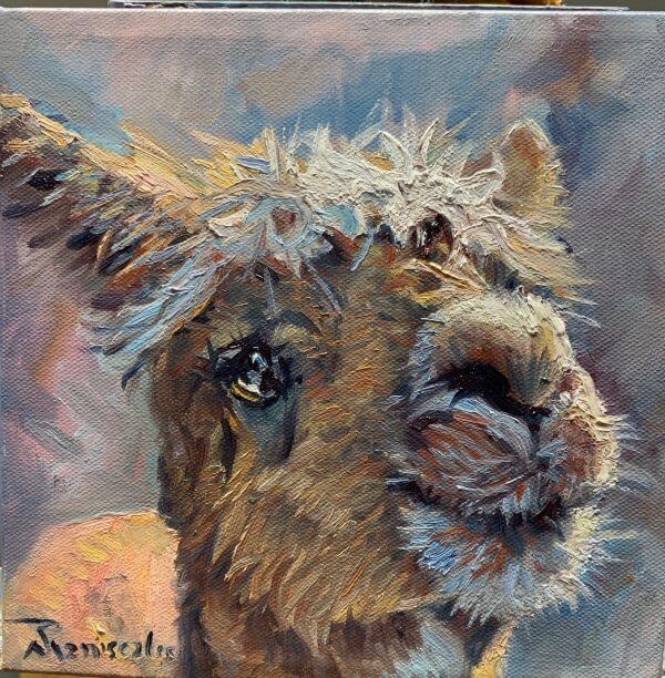 Haughty Llama
