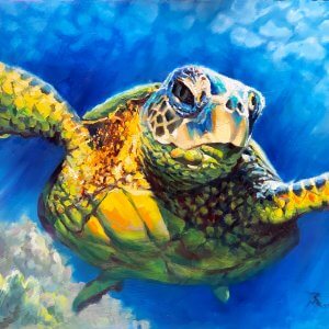 Sea Turtle