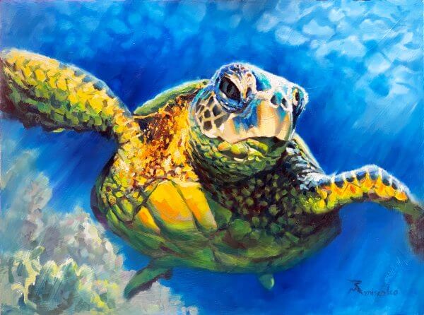 Sea Turtle
