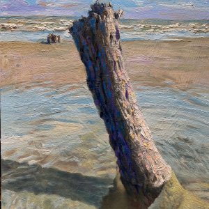 Stump On Capers