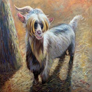 The Ugly Goat