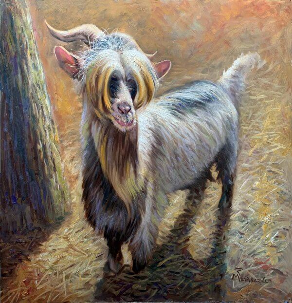 The Ugly Goat