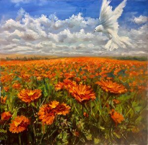 dove above