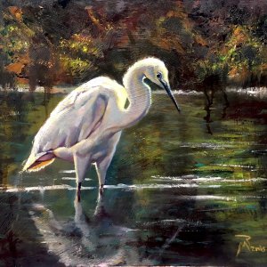 Snowy Egret