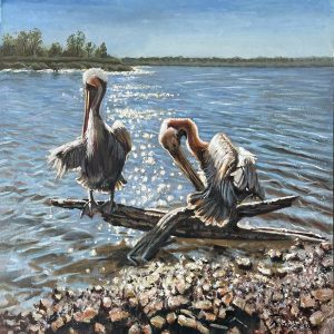 Two Pelicans in the glaring Sun