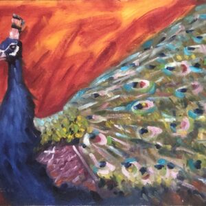 Peacock