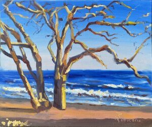 botany beach