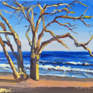 botony beach