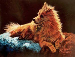 Pomeranian
