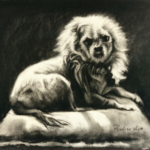 Charcoal Sketch of Your Dog or Cat