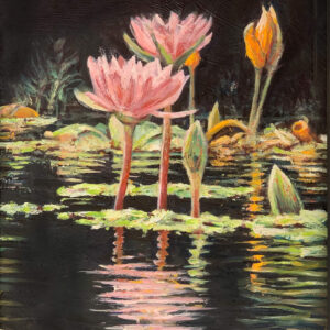 lily pad