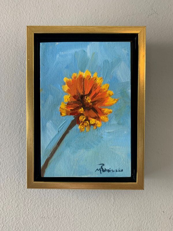 mini 11 Gerber Daisy