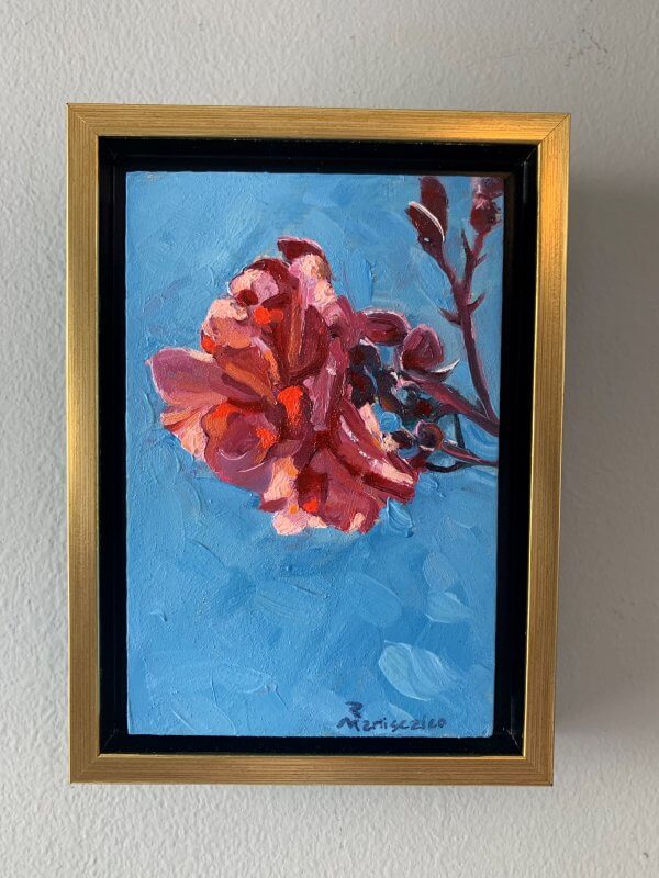 mini 9 Camelia