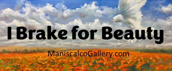 I Brake For Beauty Bumper Sticker