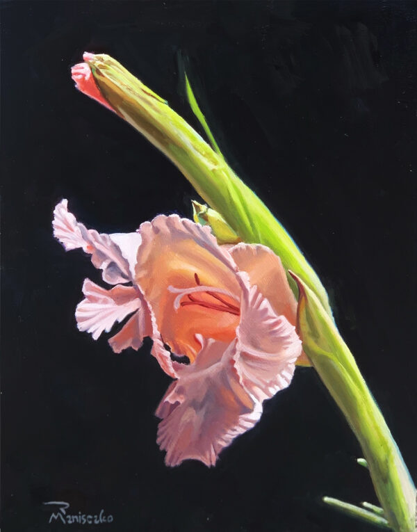 Iris