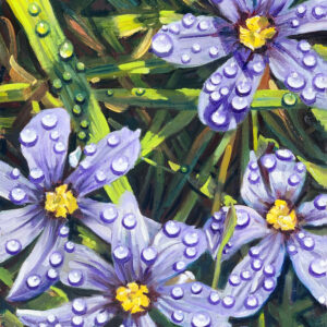 dew the lawn
