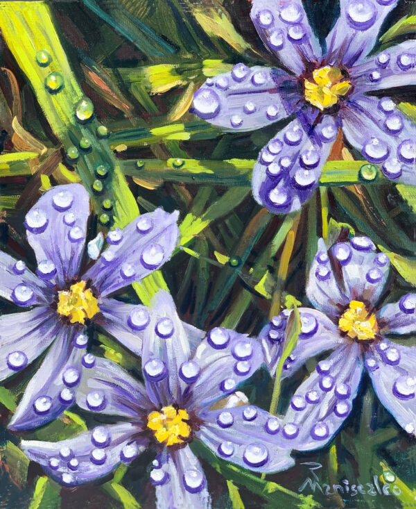 dew the lawn